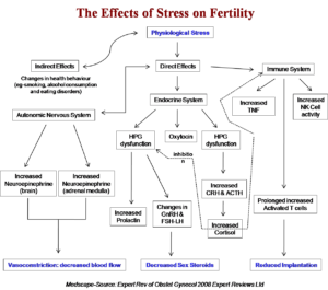 Stress pathway