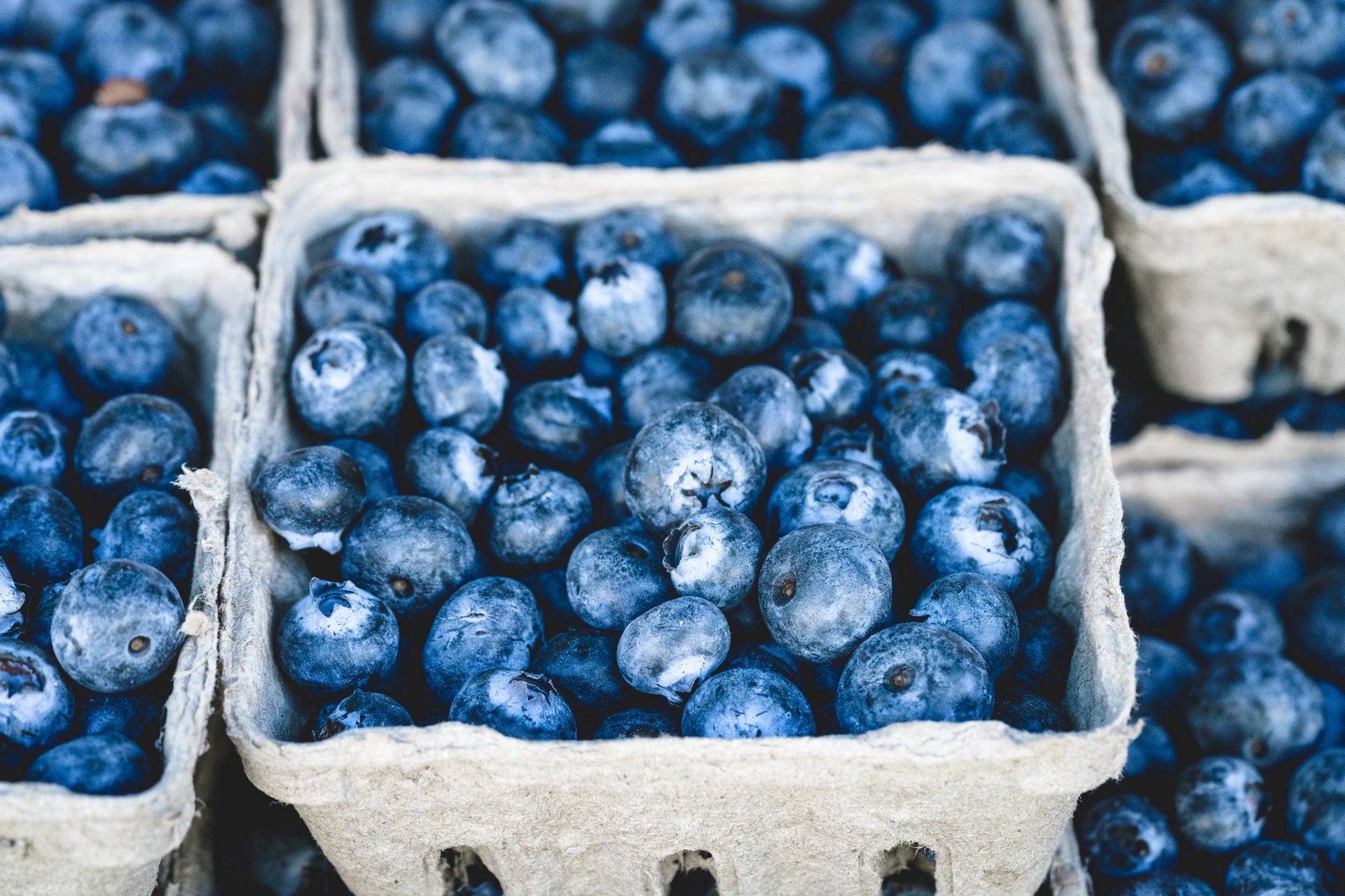 Blue Berries Help To Fight Cervical Cancer & Enhance Medical Treatments Dr Andrew Orr